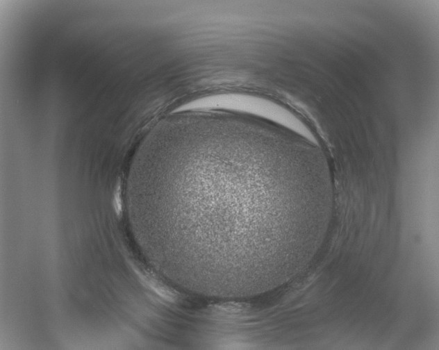 X0000054380069200508051632