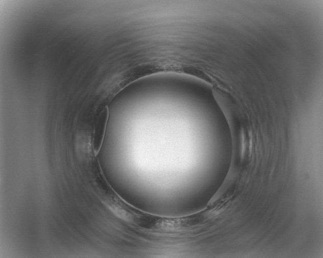 X0000054380084200508051632