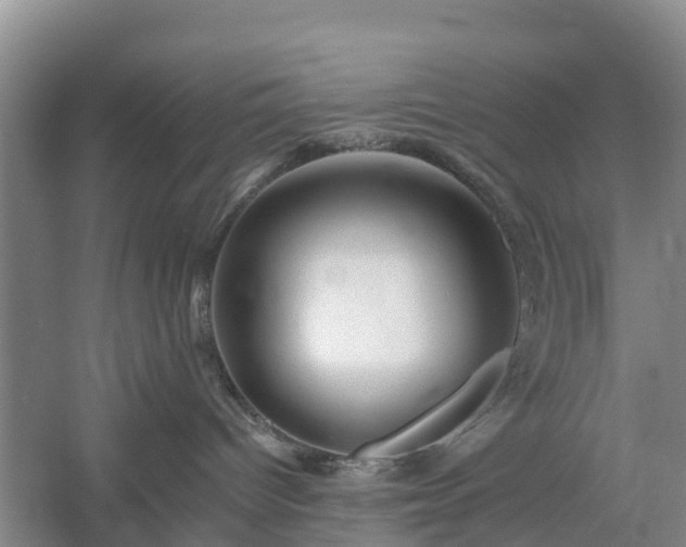 X0000054380096200508051633