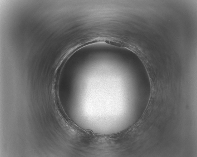 X0000054380098200508051632