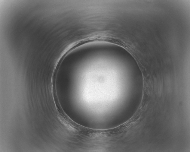 X0000054380100200508051632