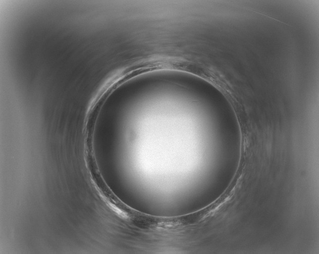 X0000054380101200508051632