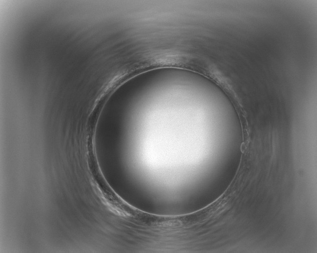 X0000054380106200508051632