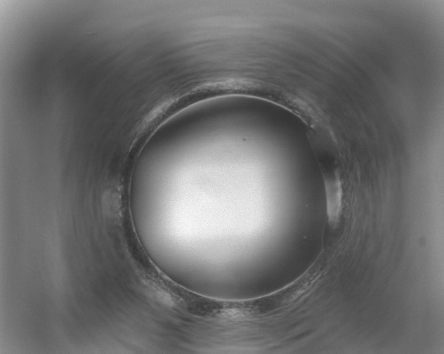 X0000054380111200508051632