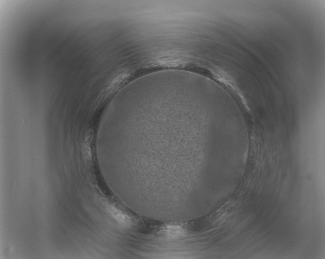 X0000054380114200508051631