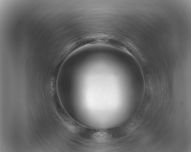 X0000054380119200508051631