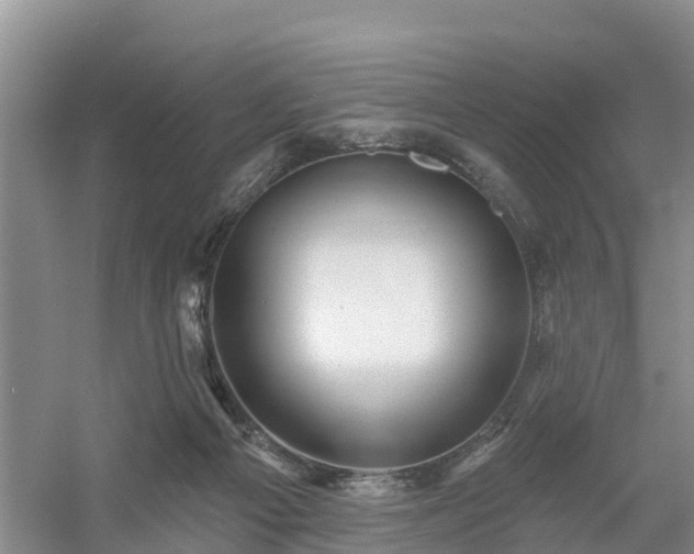 X0000054380121200508051631