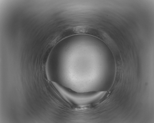 X0000054380125200508051631