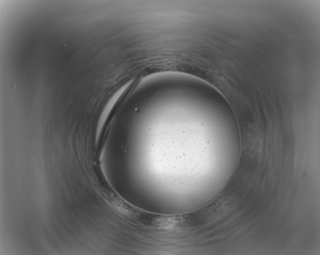X0000054380131200508051631