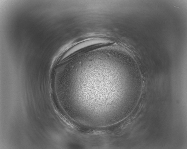 X0000054380149200508051630