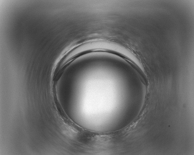 X0000054380150200508051630