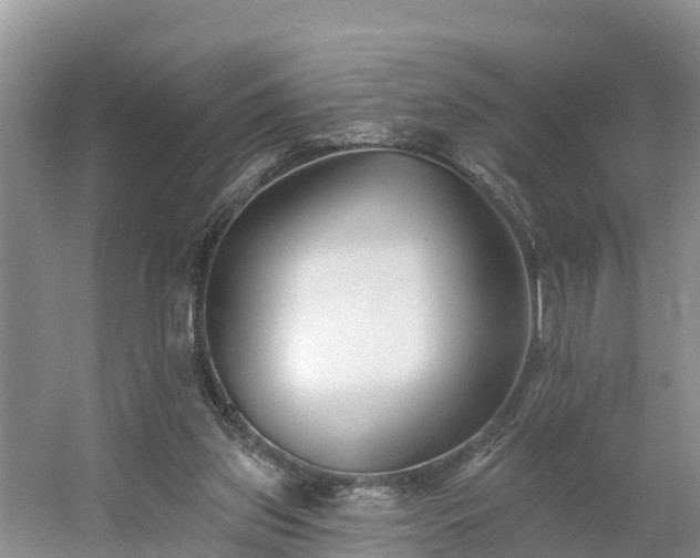 X0000054380157200508051630