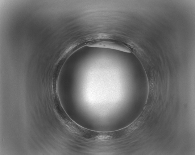 X0000054380158200508051630