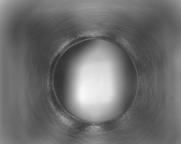 X0000054380159200508051630