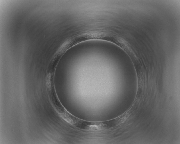 X0000054380167200508051630