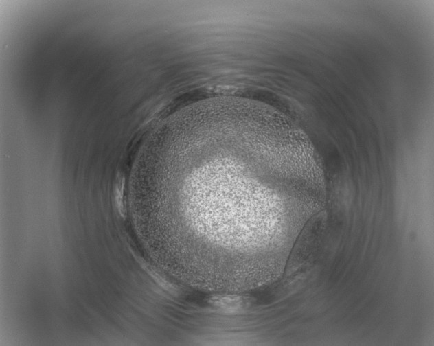 X0000054380181200508051631