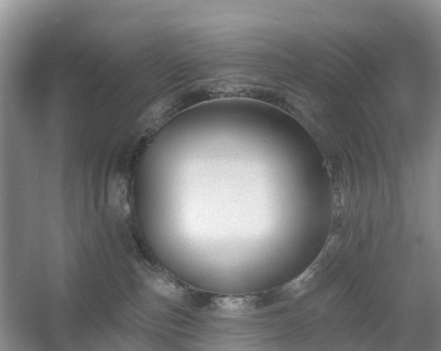 X0000054380187200508051631