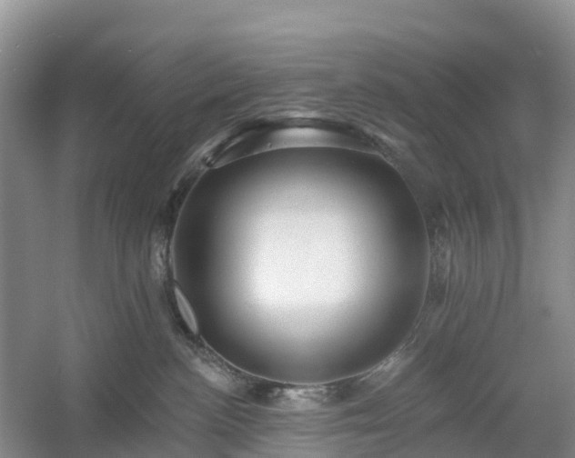 X0000054380188200508051631