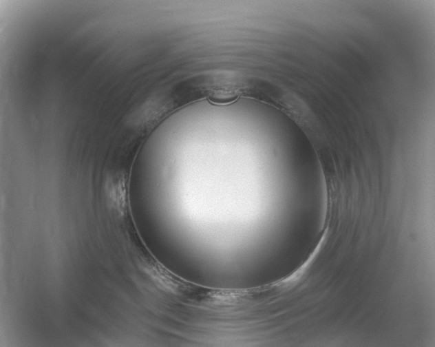 X0000054380190200508051631