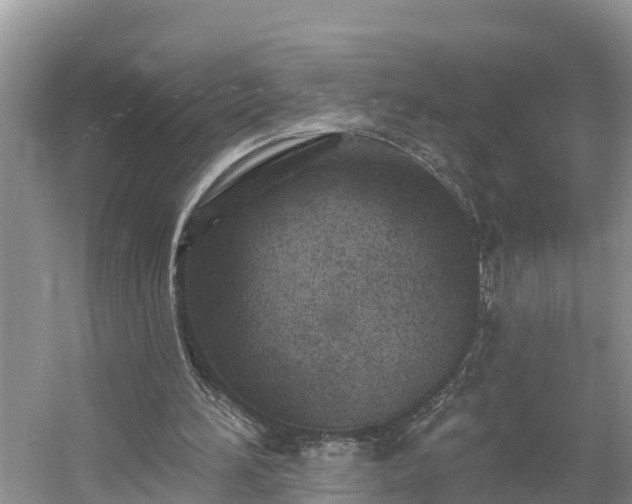 X0000054380196200508051630