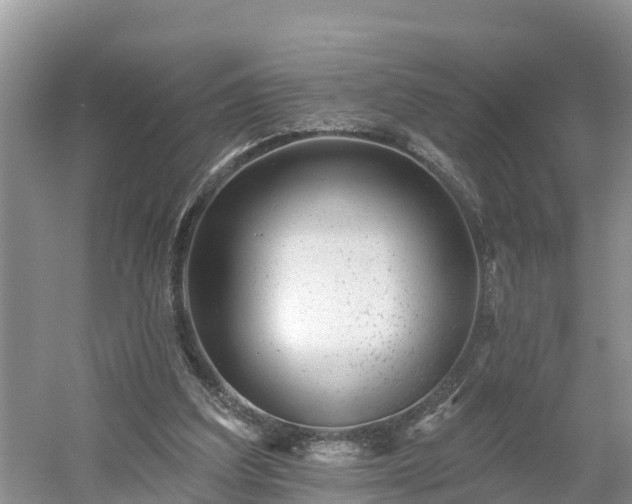 X0000054380203200508051630