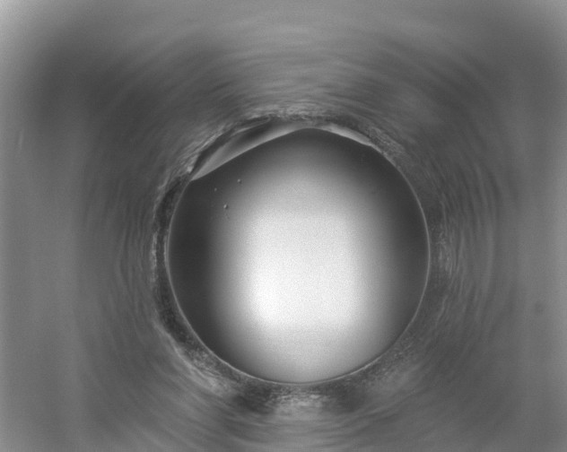 X0000054380206200508051630
