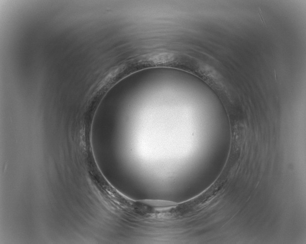X0000054380212200508051630