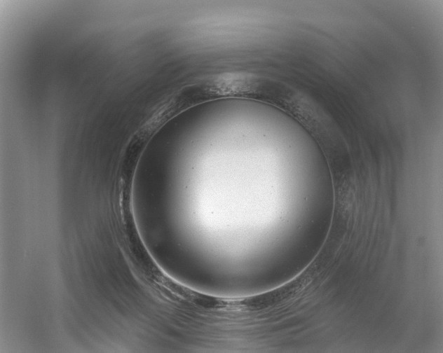 X0000054380214200508051630