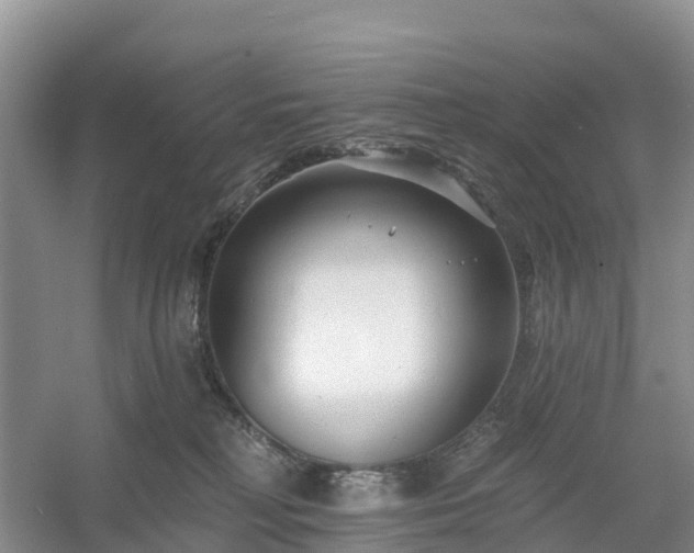 X0000054380230200508051629