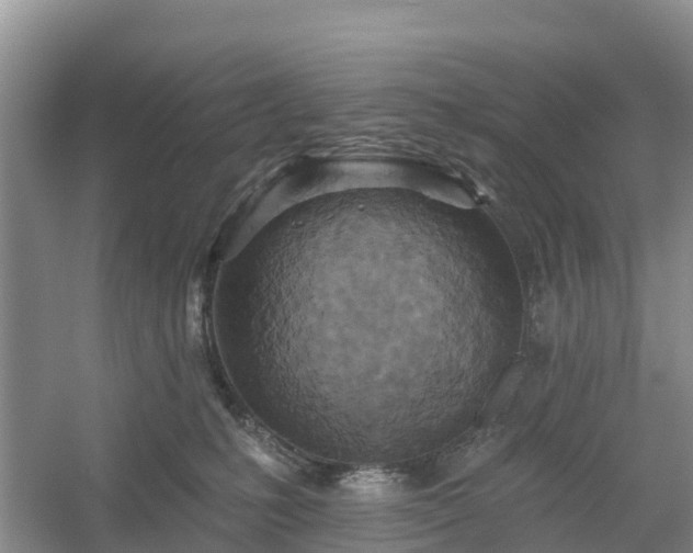 X0000054380231200508051629
