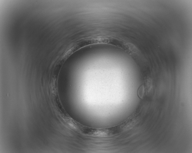X0000054380236200508051629