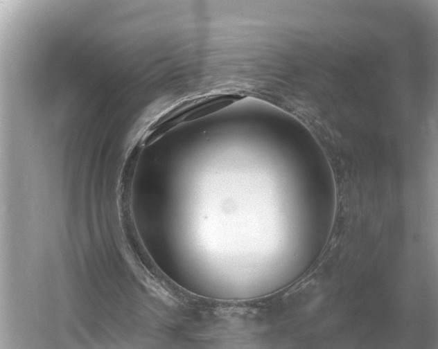 X0000054380242200508051628