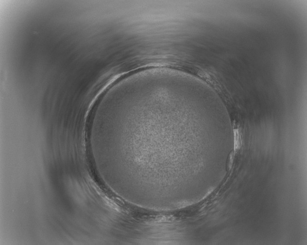 X0000054380243200508051629