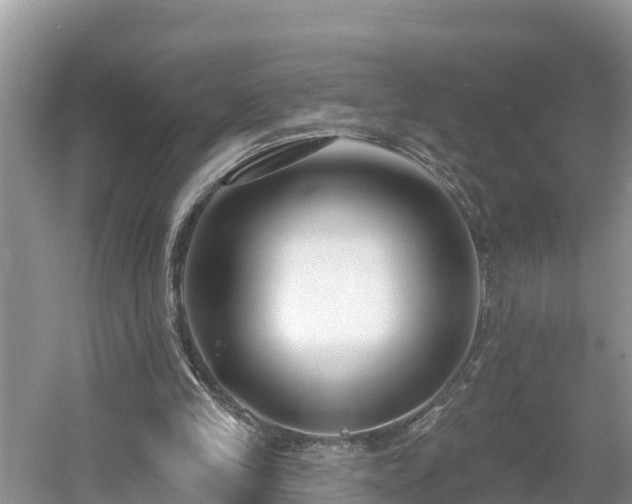 X0000054380245200508051629