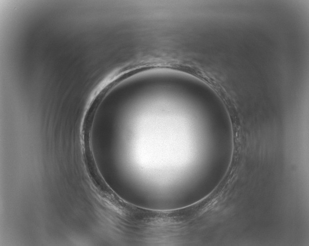 X0000054380246200508051629