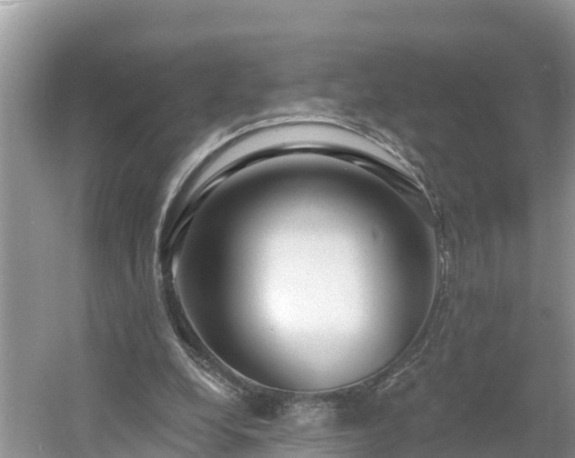 X0000054380248200508051629