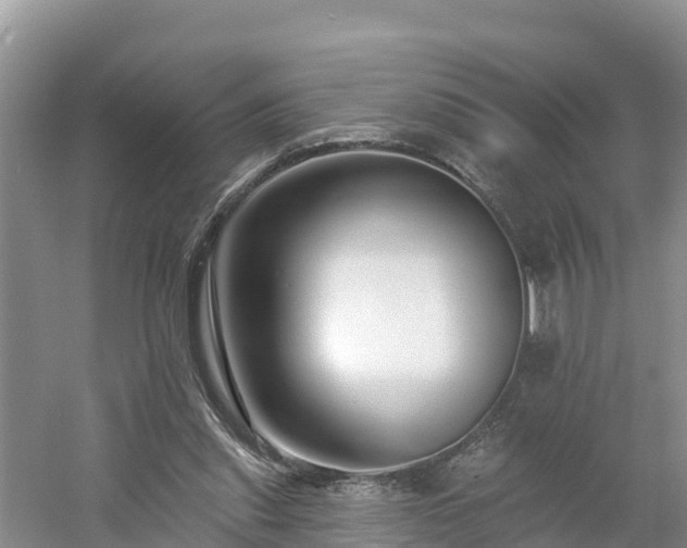 X0000054380253200508051629