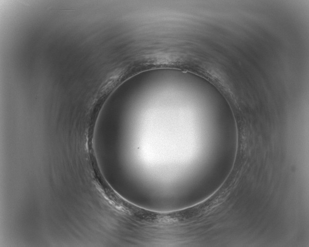 X0000054380257200508051629
