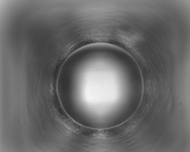 X0000054380259200508051629