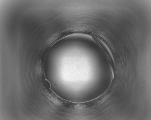 X0000054380261200508051629