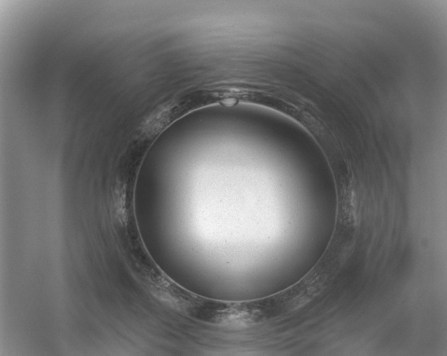 X0000054380267200508051629