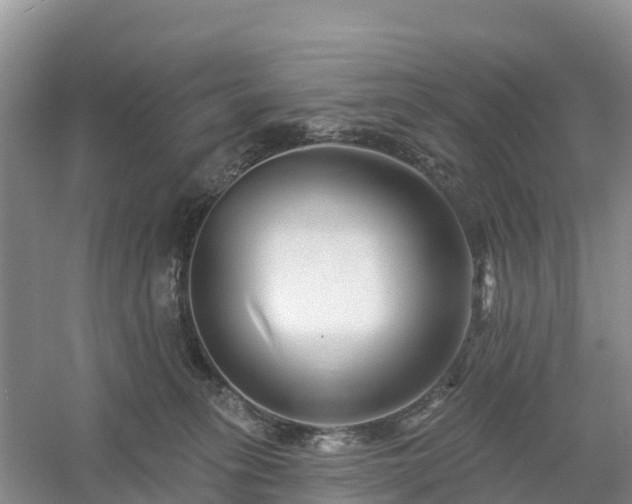 X0000054380275200508051629