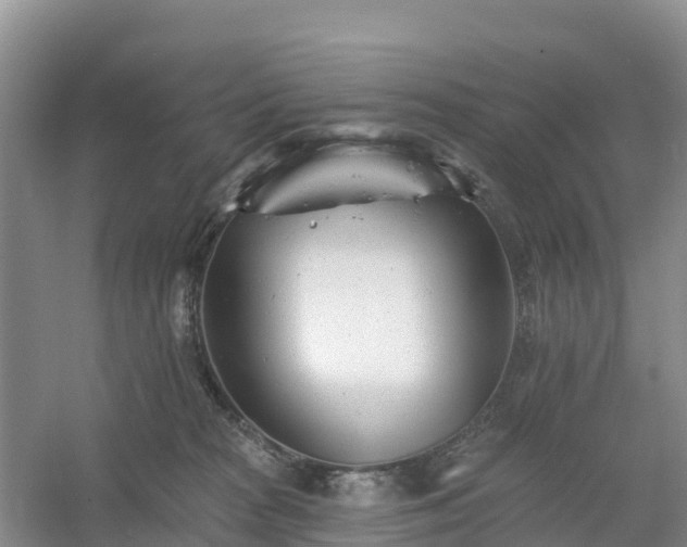 X0000054380277200508051629