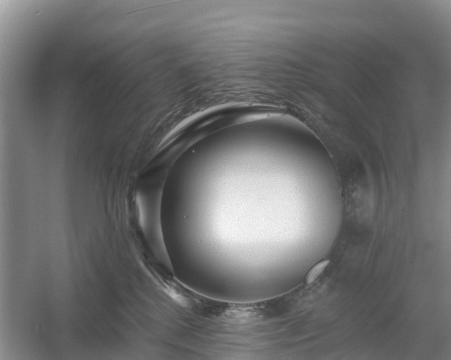 X0000054380280200508051629