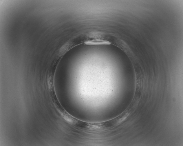 X0000054380285200508051629
