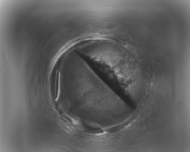 X0000054380295200508051628