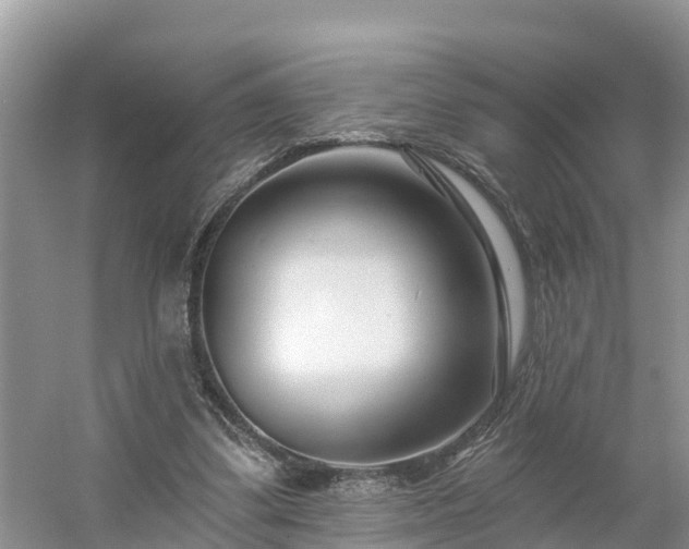 X0000054380299200508051628