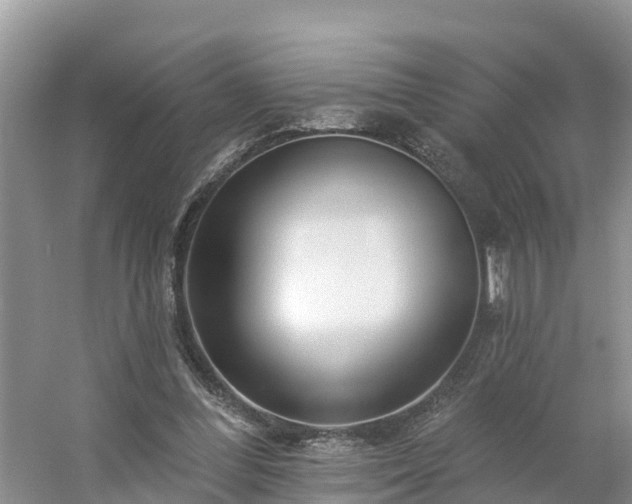 X0000054380300200508051628