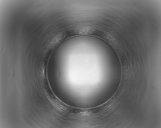 X0000054380310200508051628