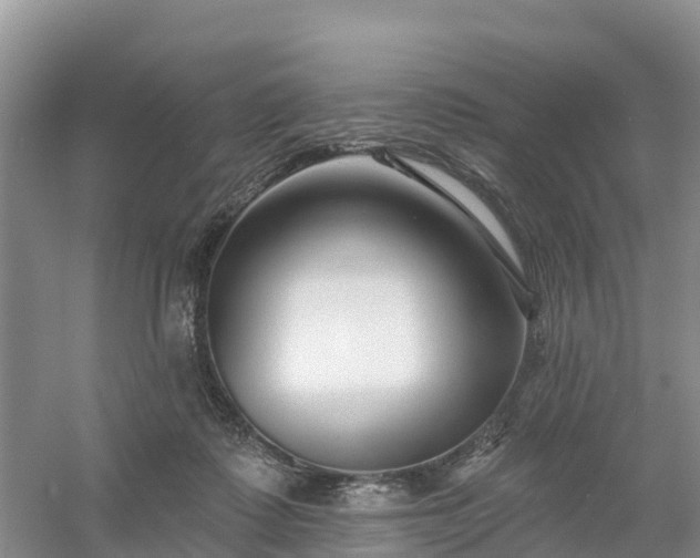X0000054380315200508051628
